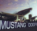 Play Mustang Dogfight