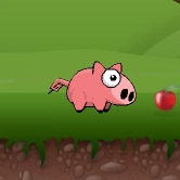 Play Oink Bunk