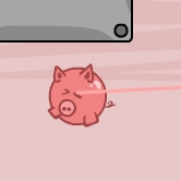 Pigs Can Fly